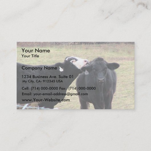 Carte De Visite Vaches à mère léchant son nourrisson (Devant)