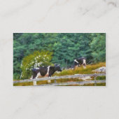 Carte De Visite Vaches - Meuglement (Dos)