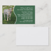 Carte De Visite Veau blanc du charolais avec le panneau vert (Devant / Derrière)
