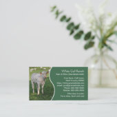 Carte De Visite Veau blanc du charolais avec le panneau vert (Debout devant)