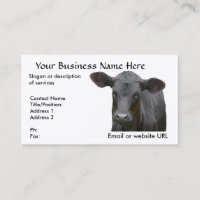 Veau noir d'Angus pour le propriétaire d'un ranch