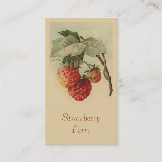 Carte De Visite Ventes de fruit de fraises (Devant)