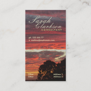 Carte de visite vertical des jeux de calques Firey