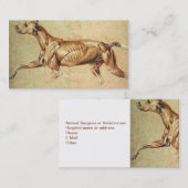 Carte de visite vétérinaire (Devant / Derrière)