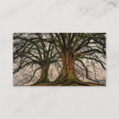 Carte De Visite Vieux chêne en hiver (Dos)