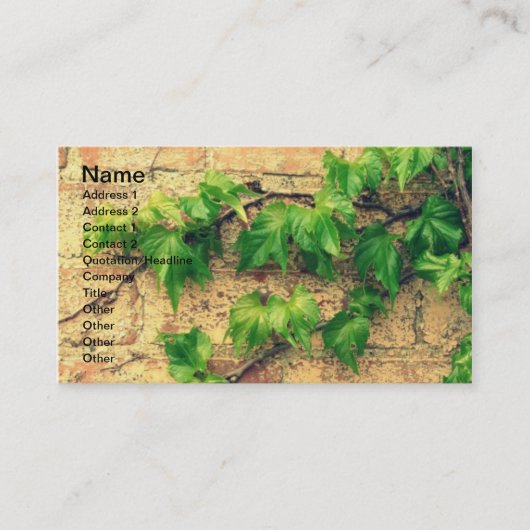 Carte De Visite Vin et brique (Devant)