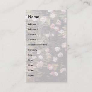 Carte De Visite Vincent Van Gogh - Rosier en Fleurs Beaux-Arts