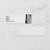 Carte de visite violon (Devant / Derrière)