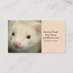 Carte De Visite Visage de furet