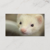 Carte De Visite Visage de furet (Dos)