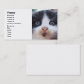Carte de visite visage Kittens (Devant / Derrière)
