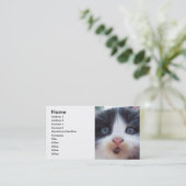 Carte de visite visage Kittens (Debout devant)