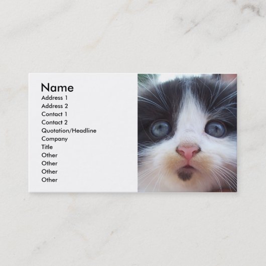Carte de visite visage Kittens (Devant)