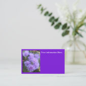 Carte De Visite Visomesse (Debout devant)