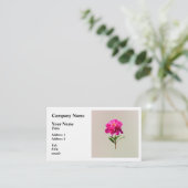 Carte De Visite Vivid Peony rose (Debout devant)