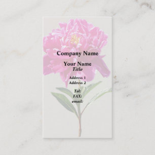 Carte De Visite Vivid Peony rose
