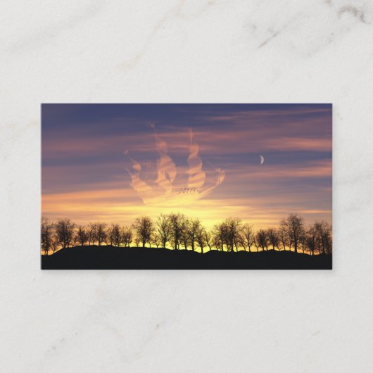 Carte De Visite Voilier les Signets du ciel nocturne (Devant)