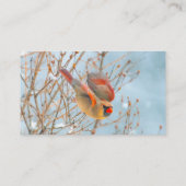 Carte De Visite Vol Cardinal Nord - Photo originale (Dos)