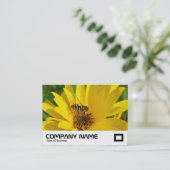 Carte De Visite Vol stationnaire sur un chrysanthème jaune (Debout devant)