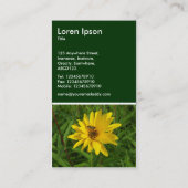 Carte De Visite Vol stationnaire sur un chrysanthème jaune - Vert  (Dos)