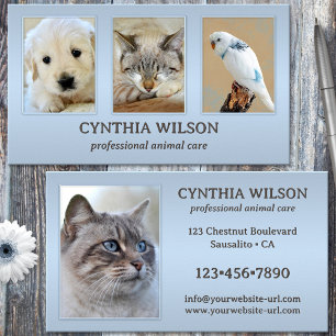 Carte De Visite Vos 4 Photos Clinique d'animaux ou soins Dusty Blu