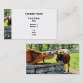 Carte De Visite Vous voulez entendre un secret (Devant / Derrière)