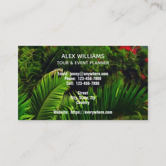 Carte De Visite Vue tropicale 0828 (Dos)