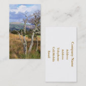 CARTE DE VISITE VUES DES ALLES (Devant / Derrière)