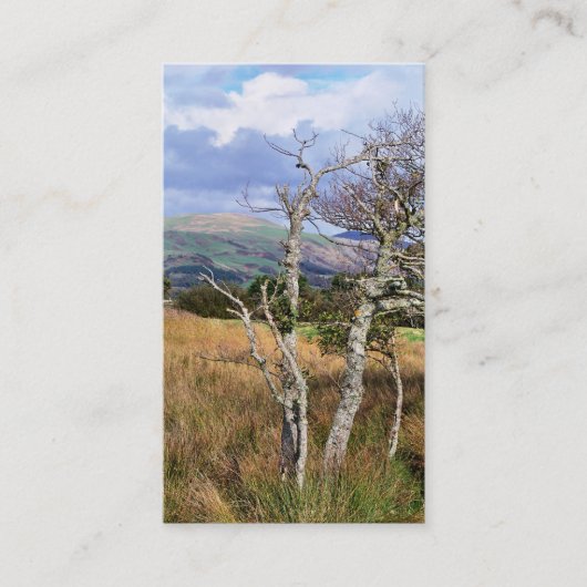 CARTE DE VISITE VUES DES ALLES (Devant)