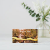 CARTE DE VISITE VUES DES ALLES (Debout devant)