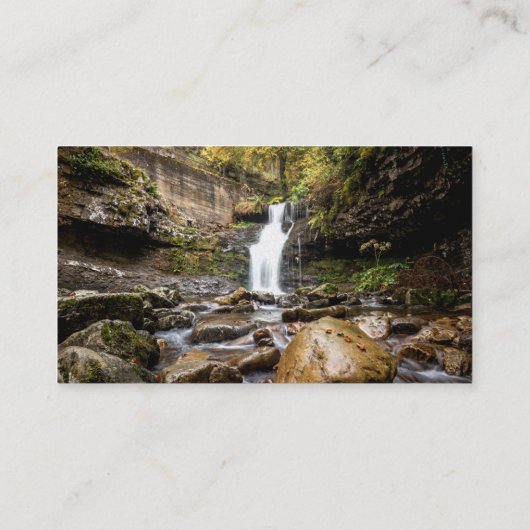 Carte De Visite Waterfall on the Rock (Dos)