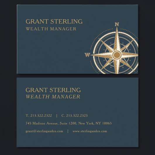 Carte De Visite Wealth Manager Nautical Compass Professional
