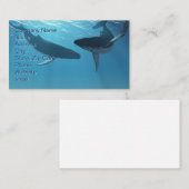 Carte De Visite Whale Wonders (Devant / Derrière)