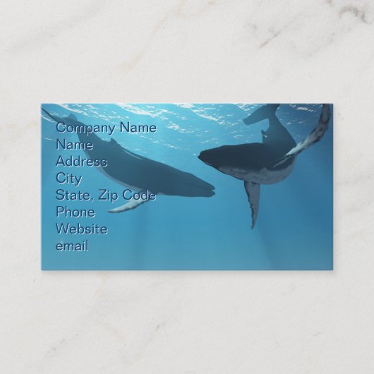 Carte De Visite Whale Wonders (Devant)