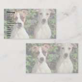 Carte De Visite Whippets (Devant / Derrière)