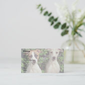Carte De Visite Whippets (Debout devant)