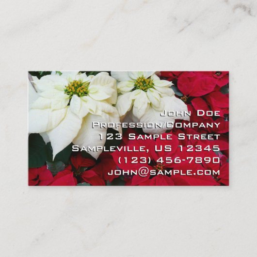 Carte De Visite White and Red Poinsettias (Devant)