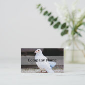 Carte De Visite White Dove, Bird Photo (Debout devant)