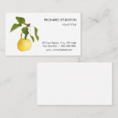 Carte De Visite Wild pear (Devant / Derrière)