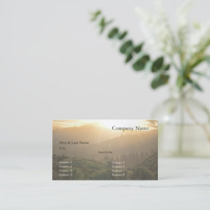 Carte De Visite Windy Hill 7b