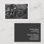 Carte De Visite Woods Bute Park, Cardiff, Mini Photo (Devant / Derrière)