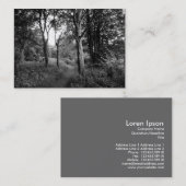 Carte De Visite Woods Bute Park, Cardiff, Mini Photo (Devant / Derrière)