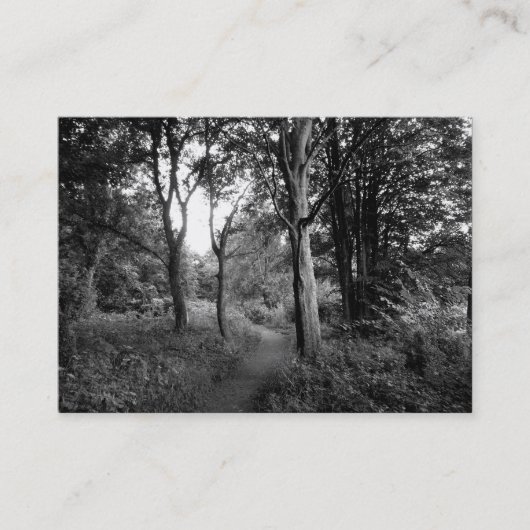 Carte De Visite Woods Bute Park, Cardiff, Mini Photo (Devant)