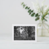 Carte De Visite Woods Bute Park, Cardiff, Mini Photo (Debout devant)