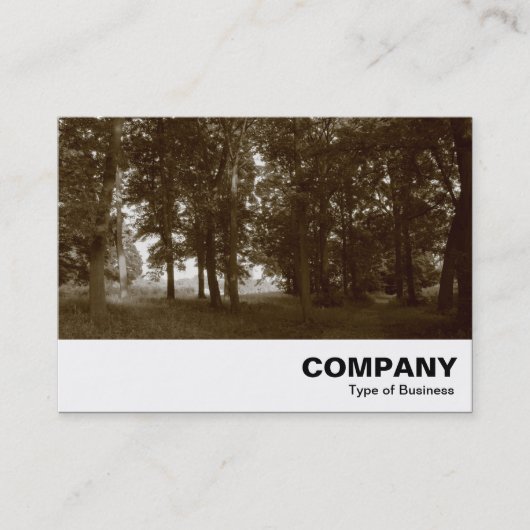 Carte De Visite Woods, Bute Park Cardiff - Sepia tonifié (Devant)