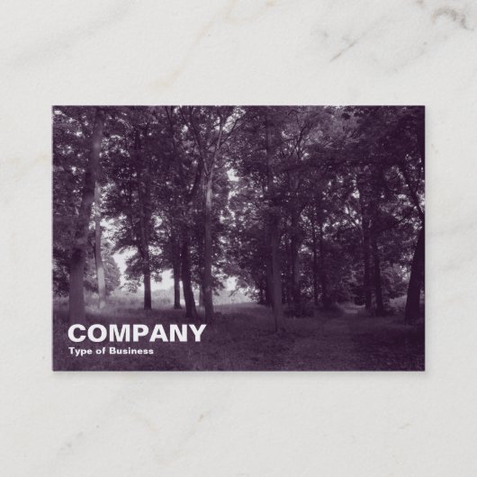 Carte De Visite Woods, Bute Park, Cardiff (Toné Violet) (Devant)