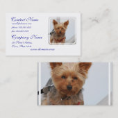 Carte De Visite Yorkie mignon (Devant / Derrière)