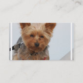Carte De Visite Yorkie mignon (Dos)