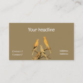 Carte De Visite Yorkshire Canary Vintage (Dos)