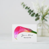 Carte De Visite Zantedeschia rose sur le blanc (Debout devant)